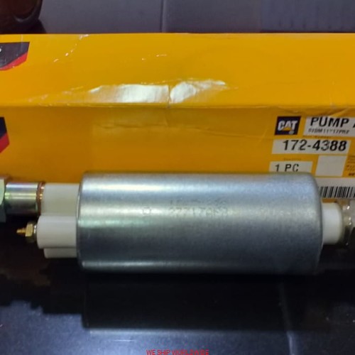 cat24v.jpg