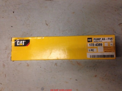 cat24v2.jpg