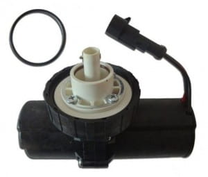 cat2pin.jpg