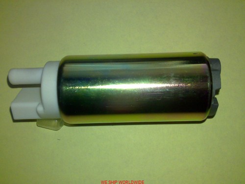 81077biala.jpg