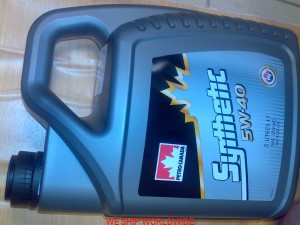 5W40 5W-40 Petro Canada 5l  502.00  505.00  505.01  BMW LL-04  Porsche  Ford M2C917A